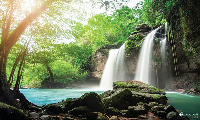 จัดทริป เที่ยววันหยุดสุดชิลล์ ชมธรรมชาติ ที่เขาใหญ่